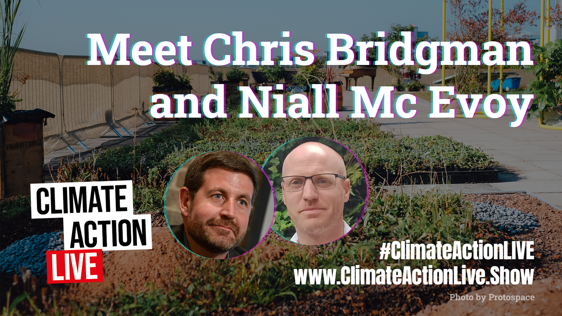 Meet Chris and Niall